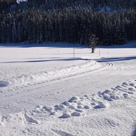 Trixl Appartement Hochfilzen