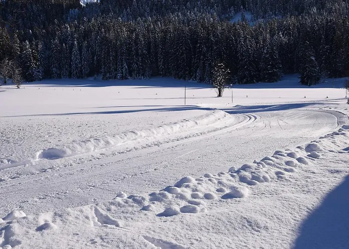 Trixl Apartment Hochfilzen